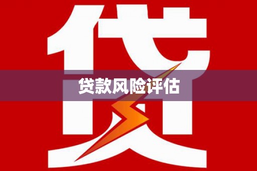 漳平贷款风险评估