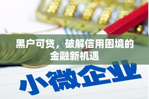 漳平黑户可贷，破解信用困境的金融新机遇