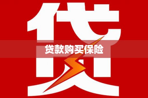 漳平贷款购买保险