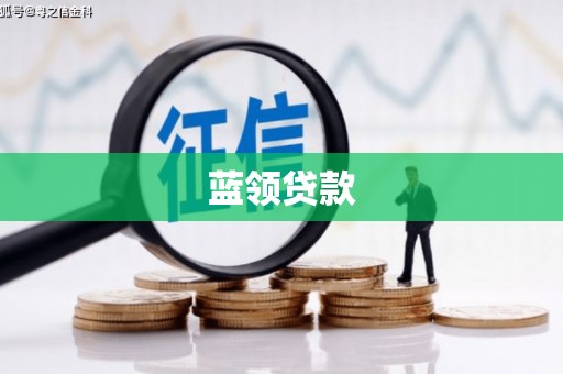 漳平蓝领贷款