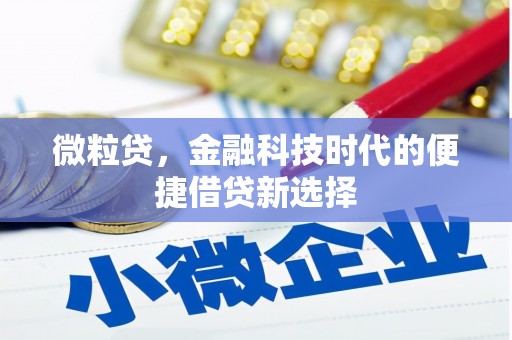 漳平微粒贷，金融科技时代的便捷借贷新选择