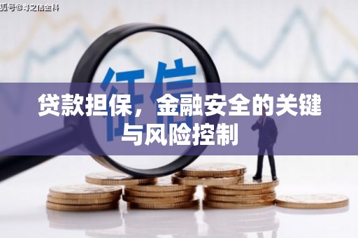 漳平贷款担保，金融安全的关键与风险控制