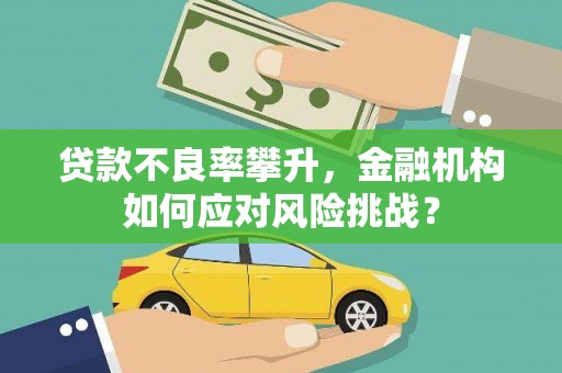 漳平贷款不良率攀升，金融机构如何应对风险挑战？