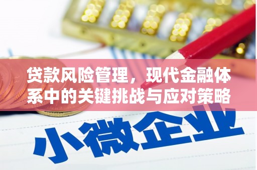 漳平贷款风险管理，现代金融体系中的关键挑战与应对策略