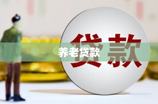 漳平养老贷款