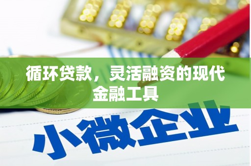 漳平循环贷款，灵活融资的现代金融工具