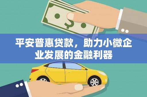 漳平平安普惠贷款，助力小微企业发展的金融利器