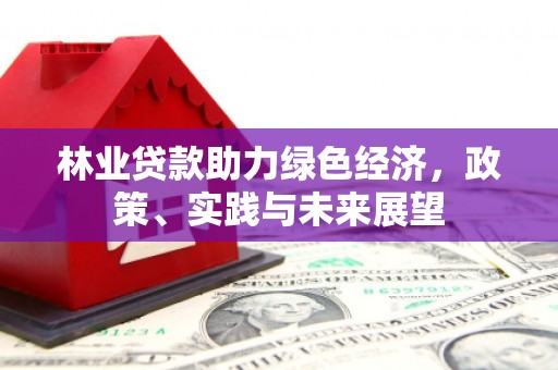 漳平林业贷款助力绿色经济，政策、实践与未来展望