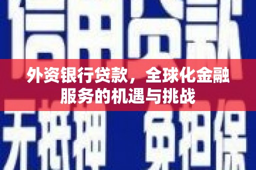 漳平外资银行贷款，全球化金融服务的机遇与挑战