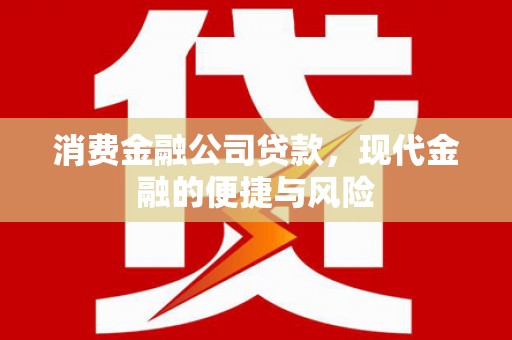漳平消费金融公司贷款，现代金融的便捷与风险