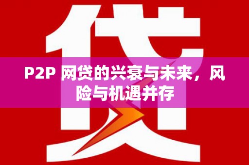 漳平P2P 网贷的兴衰与未来，风险与机遇并存