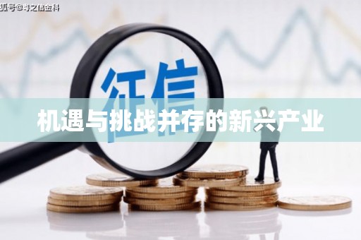漳平机遇与挑战并存的新兴产业