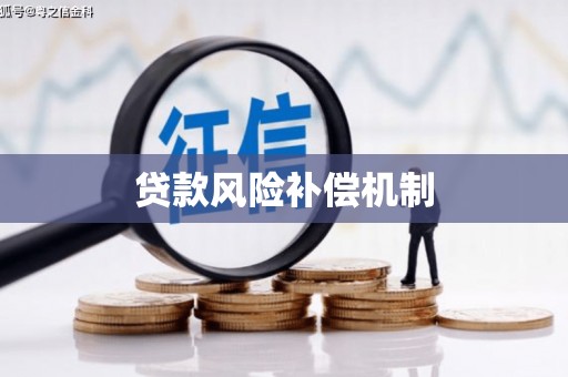 漳平贷款风险补偿机制