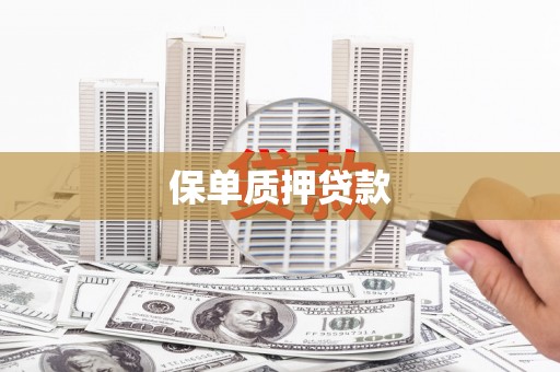 漳平保单质押贷款