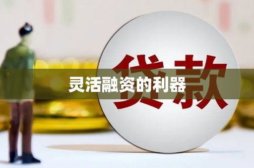 漳平灵活融资的利器