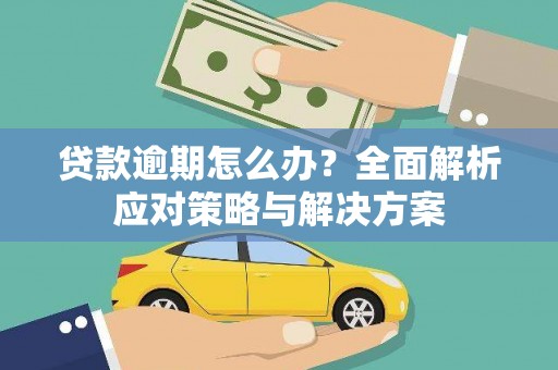 漳平贷款逾期怎么办？全面解析应对策略与解决方案