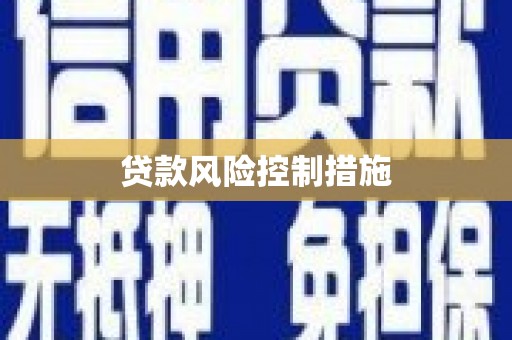 漳平贷款风险控制措施