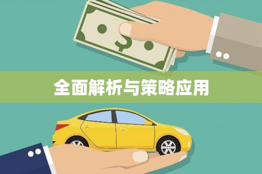 漳平全面解析与策略应用