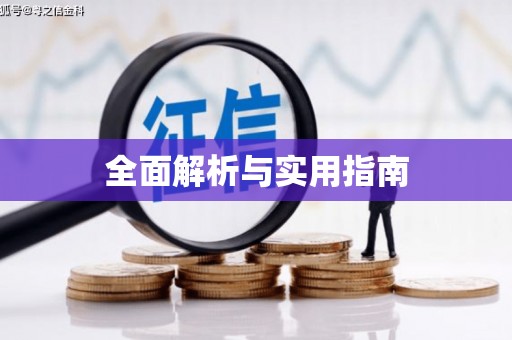 漳平全面解析与实用指南