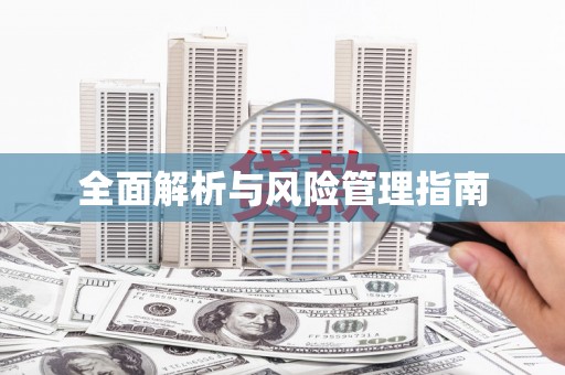 漳平全面解析与风险管理指南