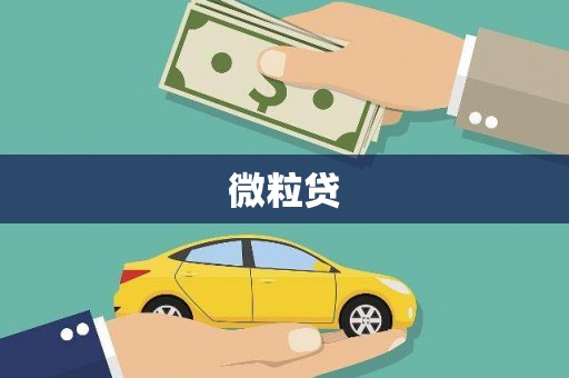 漳平微粒贷