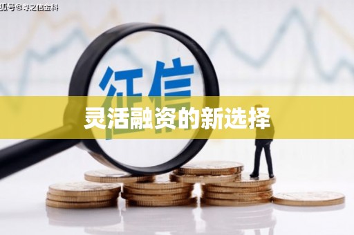 漳平灵活融资的新选择
