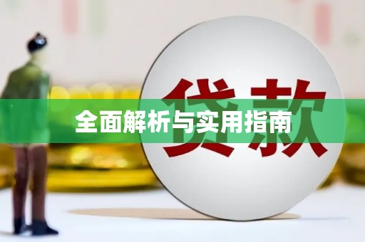 漳平全面解析与实用指南