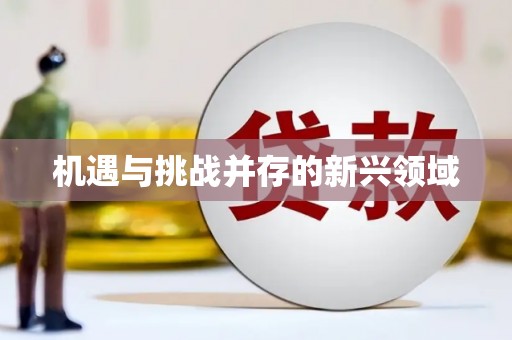 漳平机遇与挑战并存的新兴领域