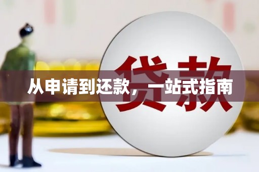 漳平从申请到还款，一站式指南