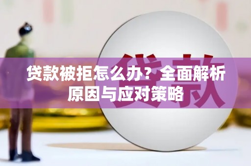 漳平贷款被拒怎么办？全面解析原因与应对策略