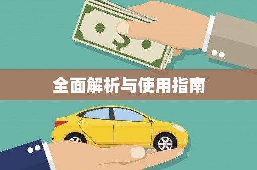 漳平全面解析与使用指南