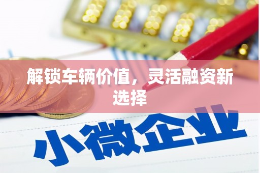 漳平解锁车辆价值，灵活融资新选择