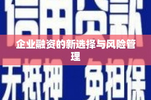 漳平企业融资的新选择与风险管理