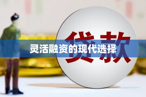 漳平灵活融资的现代选择