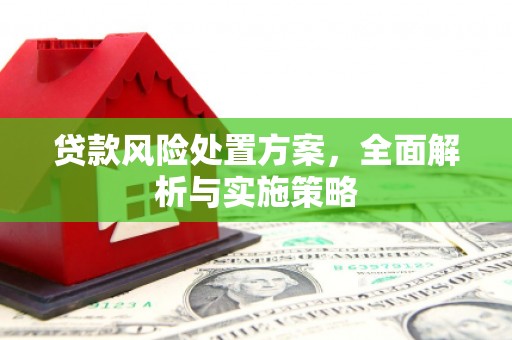 漳平贷款风险处置方案，全面解析与实施策略