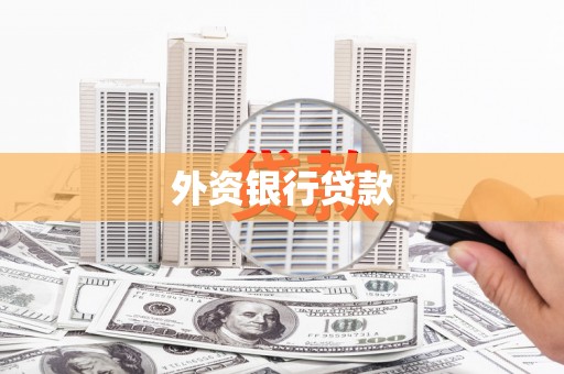 漳平外资银行贷款