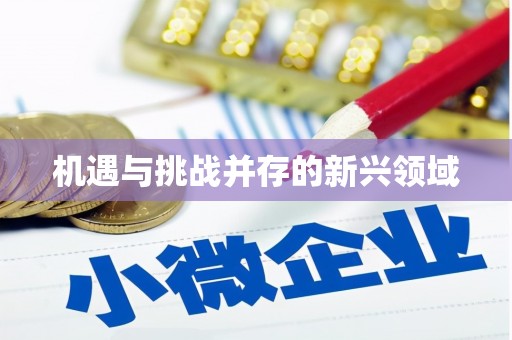 漳平机遇与挑战并存的新兴领域