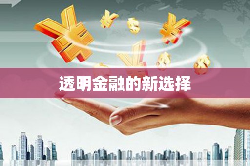 漳平透明金融的新选择
