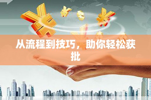 漳平从流程到技巧，助你轻松获批