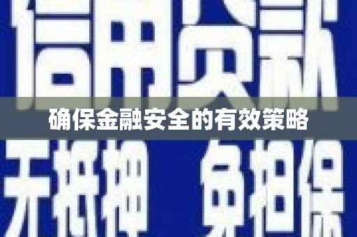 漳平确保金融安全的有效策略