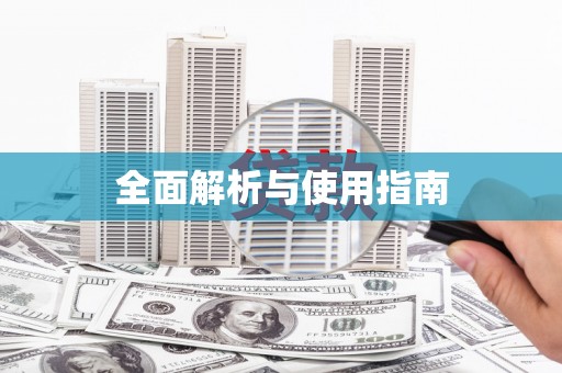 漳平全面解析与使用指南