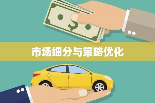漳平市场细分与策略优化