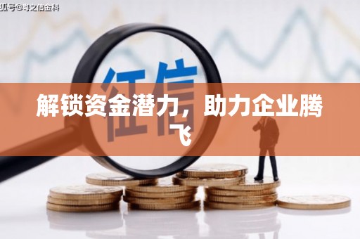 漳平解锁资金潜力，助力企业腾飞