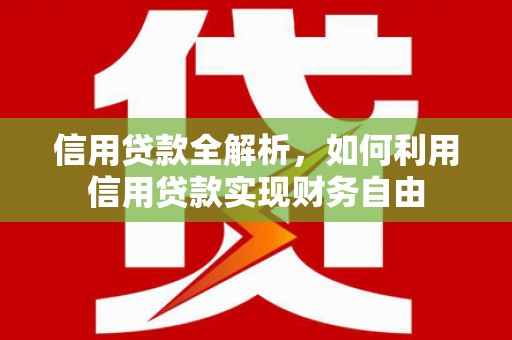 漳平信用贷款全解析，如何利用信用贷款实现财务自由