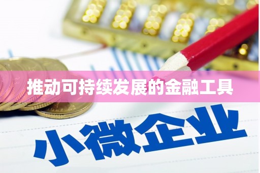 漳平推动可持续发展的金融工具