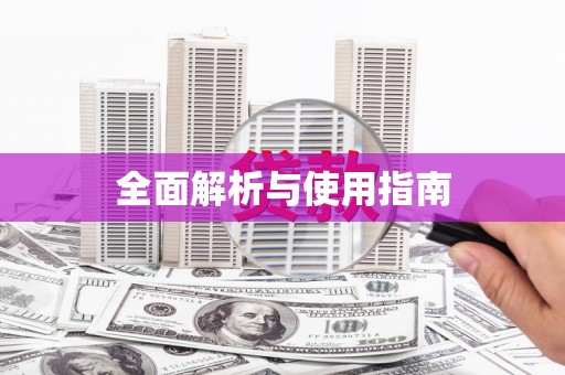 漳平全面解析与使用指南