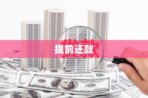 漳平提前还款