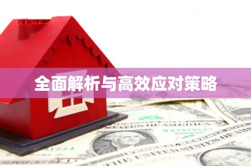 漳平全面解析与高效应对策略