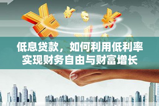 漳平低息贷款，如何利用低利率实现财务自由与财富增长