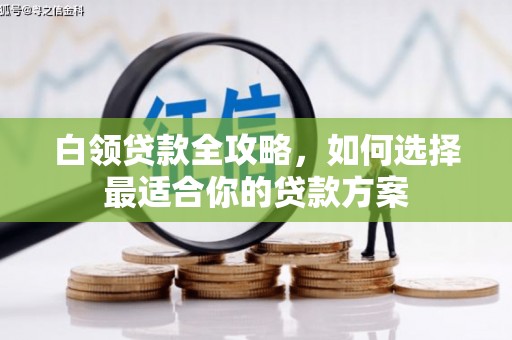 漳平白领贷款全攻略，如何选择最适合你的贷款方案